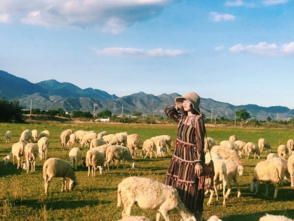 TOUR ĐẶC BIỆT NỐI 2 CUNG ĐƯỜNG BIỂN MIỀN TRUNG ĐẸP NHẤT VIỆT NAM NINH THUẬN – NHA TRANG KHỞI HÀNH TỪ HÀ NỘI VÀ CÁC TỈNH MIỀN BẮC HÈ NÀY ĐẾN VỚI ĐỒNG CỪU VƯỜN NHO VÀ NHỮNG VỊNH BIỂN THƠ MỘNG CÙNG SUMMIT TRAVEL 