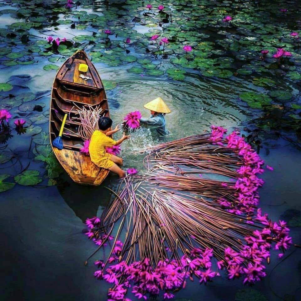 TOUR DU LỊCH MIỀN TÂY TRỌN GÓI HÀ NỘI - CẦN THƠ - SÓC TRĂNG - BẠC LIÊU - CÀ MAU- CHÂU ĐỐC -RỪNG TRÀM TRÀ SƯ- VIẾNG MIẾU BÀ CHÚA XỨ